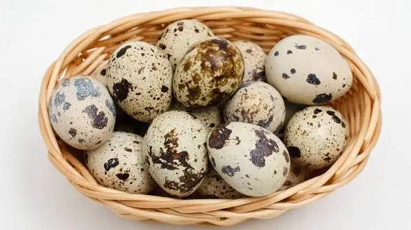 Telur Puyuh