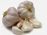 Bawang Putih